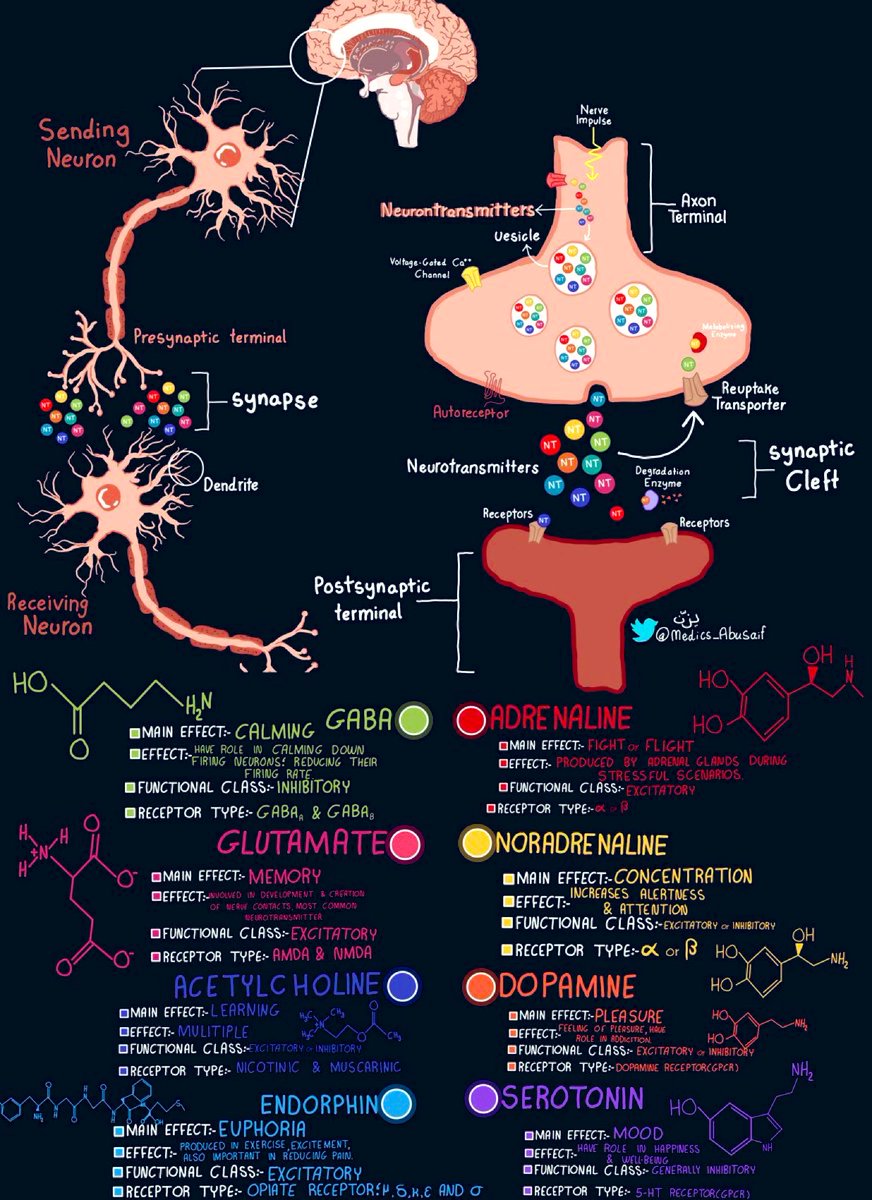 DrPharmDMDTh's tweet photo. Neurotransmitters https://t.co/FQmfBTdD0J