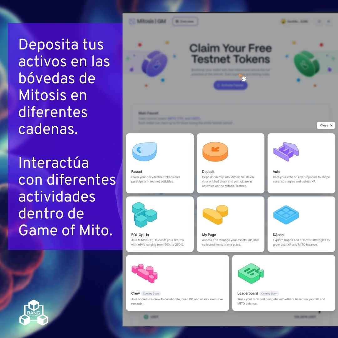 BangOnChain's tweet photo. 👀 Para eso, necesitarás Sepolia ETH en esas cadenas para el gas.
🔹Deposita algunos tokens en diferentes cadenas e interactúa con otras funciones como EOL Governance y las bóvedas OPT de activos. https://t.co/vkP8aomDe2