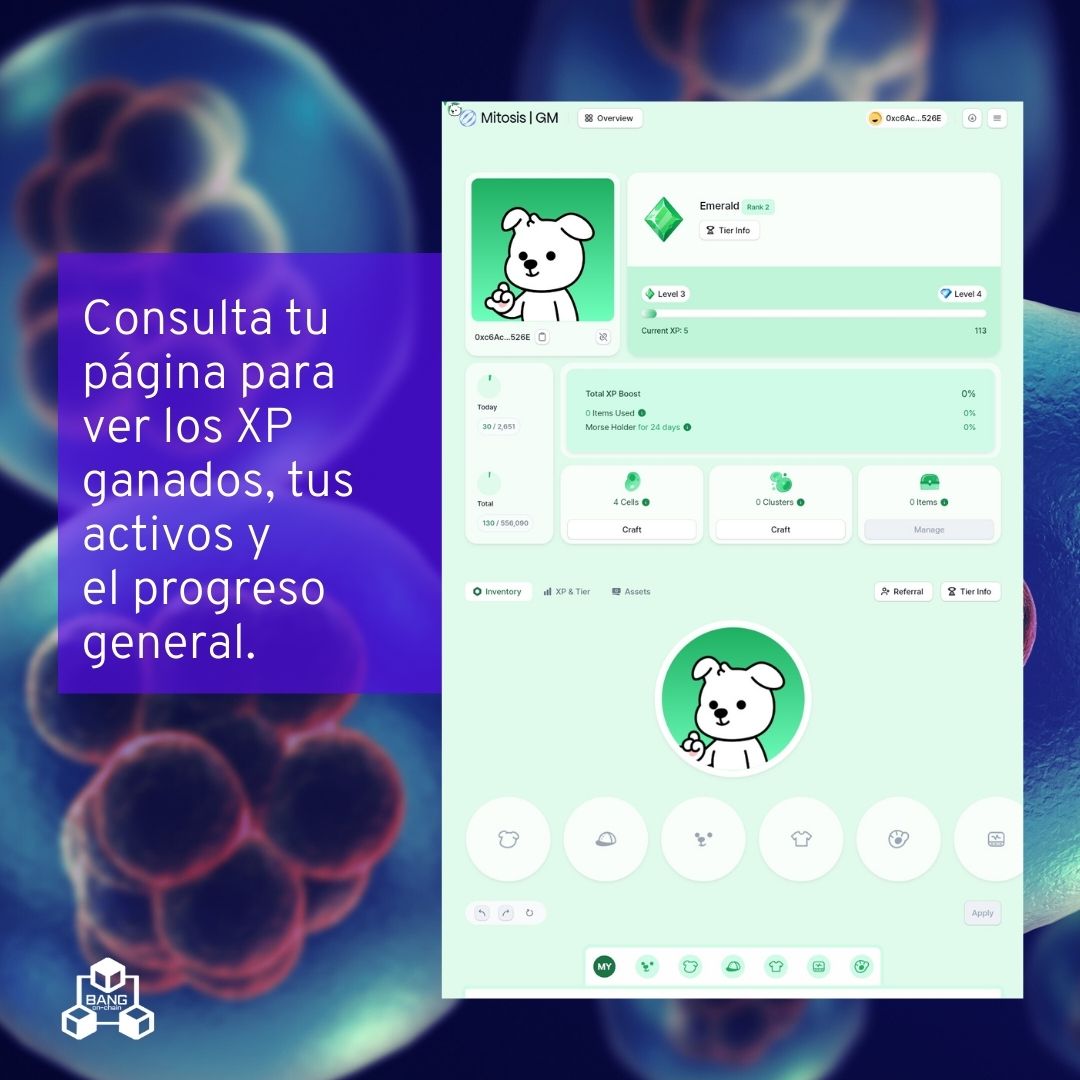 BangOnChain's tweet photo. 🔹Consulta tu página para ver cómo subes de nivel con cada interacción en cadena.

Además, recuerda unirte a las campañas de Galxe y a las actividades de Discord para ganar más XP y aumentar tu airdrop de #MITO. https://t.co/PJasrhKeZD