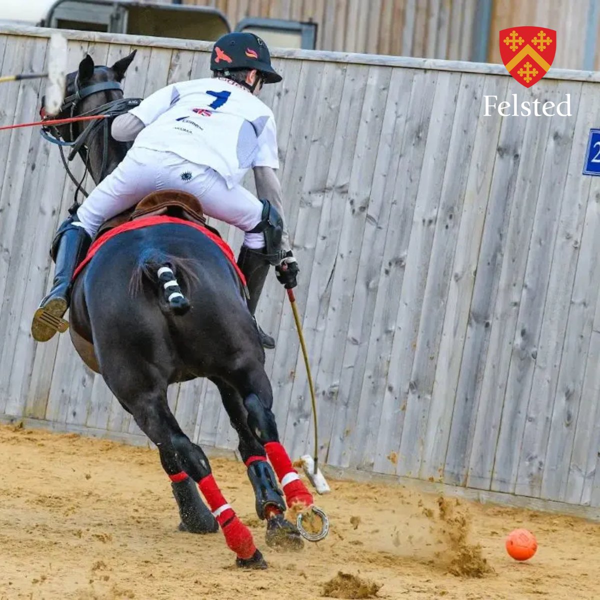 🏇👏 to Monty T, Yr 9, for his stellar performance at the Schools &amp; University Polo Association Tournament! Competing in the Open Division, Monty &amp; his team, Neogem, secured 3rd place overall! Read more: bit.ly/Felsted-Monty-…
#FelstedCharacter