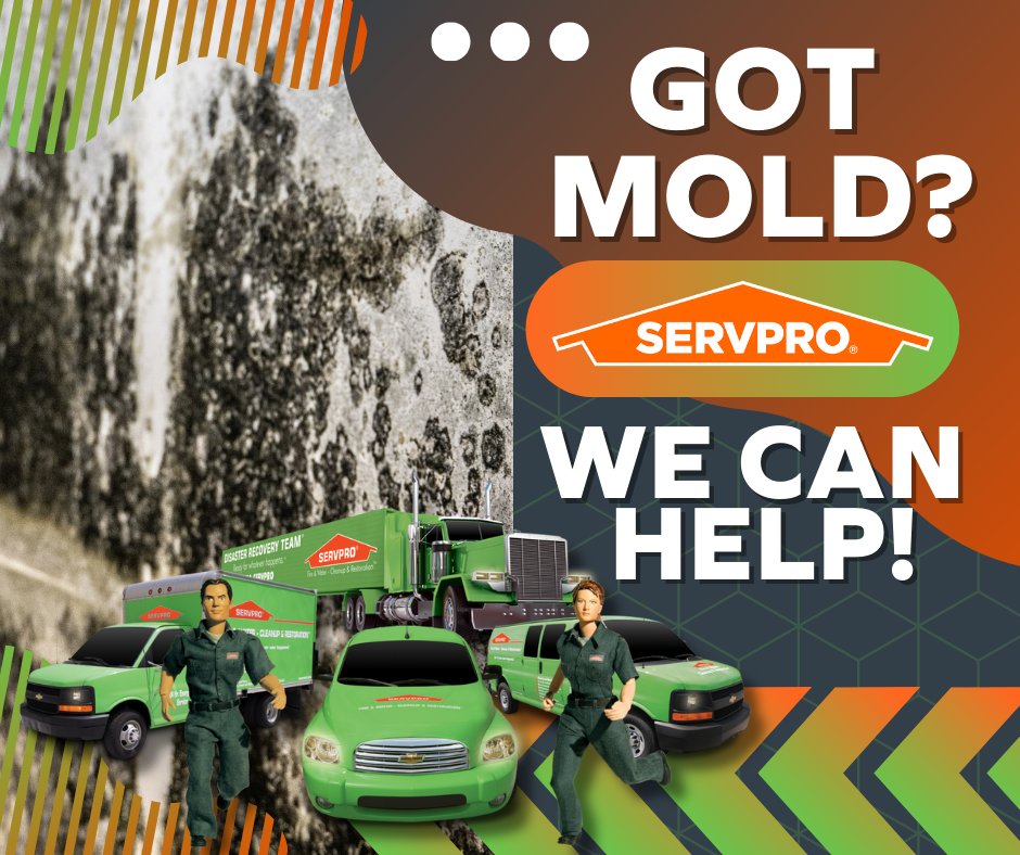 Black mold damage can feel overwhelming, but SERVPRO is here to restore your home and peace of mind. Trust us to make it right! 🏠🧽 #MoldDamage #SERVPRORestores