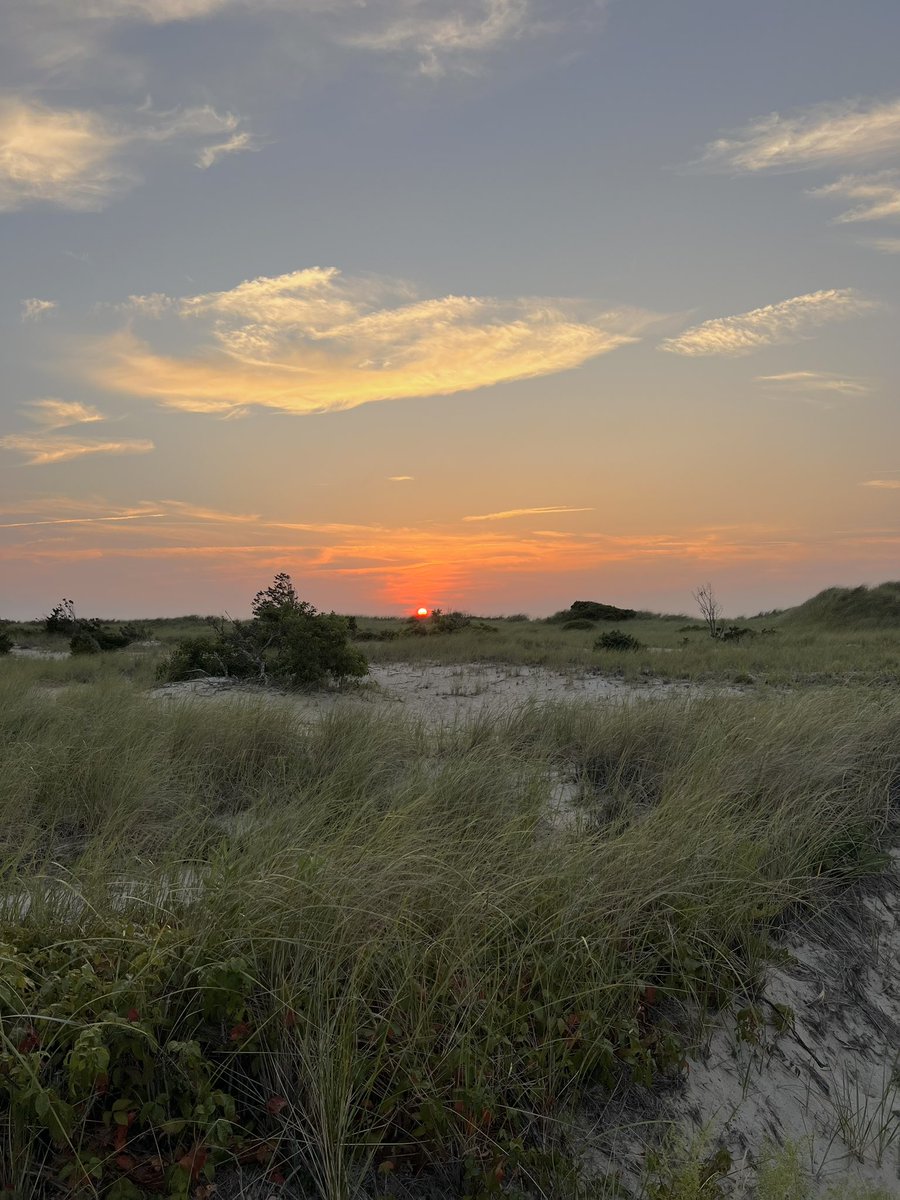 SMurrayPhoto's tweet photo. In the quiet whispers of the wind, find the strength to rise… like leaves on trees, you too can flourish anew. 🌿📸❤️

#NatureInspires #Renewal #Growth #NaturePhoto #NaturePhotography #CapeCod #CapeCodPhotographer #CapeCodPhotography #SarahMurrayPhotography https://t.co/wuiuZLi0iO
