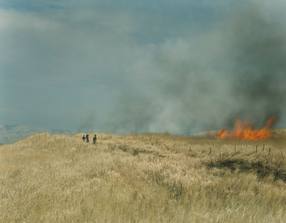 ContempArtSoc's tweet photo. This week’s Friday Dispatch, written by the CAS’s Curator of Digital Lydia Figes, looks at Rinko Kawauchi's show 'At the edge of the everyday world' at Arnolfini.
 
Read the full essay by CAS's Curator of Digital, Lydia Figes here: https://t.co/PO9Rq8YNAh https://t.co/y2BQObtA8l