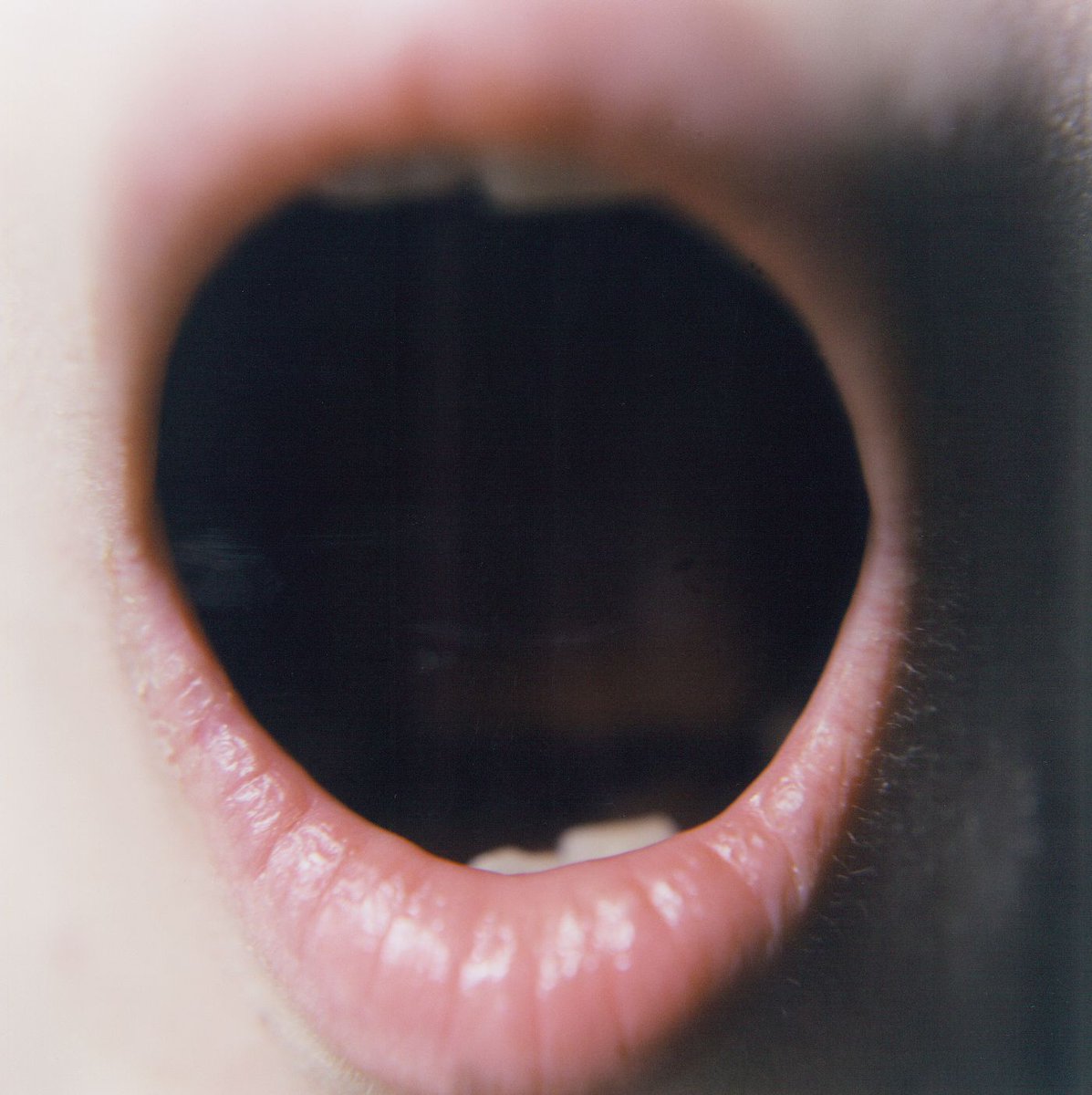 ContempArtSoc's tweet photo. This week’s Friday Dispatch, written by the CAS’s Curator of Digital Lydia Figes, looks at Rinko Kawauchi's show 'At the edge of the everyday world' at Arnolfini.
 
Read the full essay by CAS's Curator of Digital, Lydia Figes here: https://t.co/PO9Rq8YNAh https://t.co/y2BQObtA8l