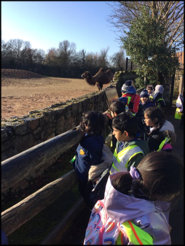 Here are a few more snapshots from Year 1's trip to Chester Zoo! 🦏🐧 #ChesterZoo