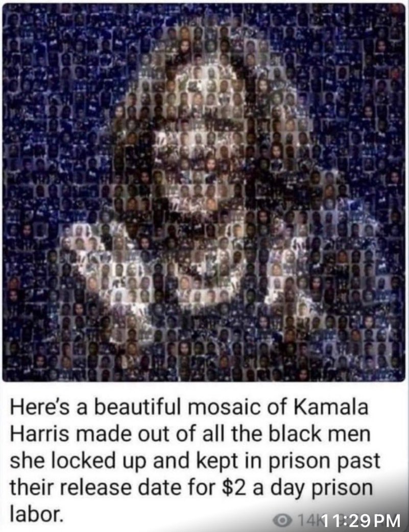 Red_StateRebel tweet media