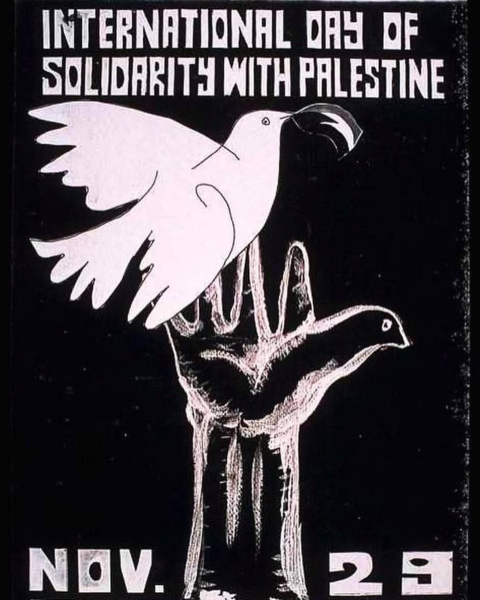 Since 1978, the world has observed the International Day of Solidarity with the Palestinian People every November 29th. 

This year, as Palestinians in Gaza continue to endure 14 months of US-backed Israeli genocide, standing in international solidarity with Palestinians is more