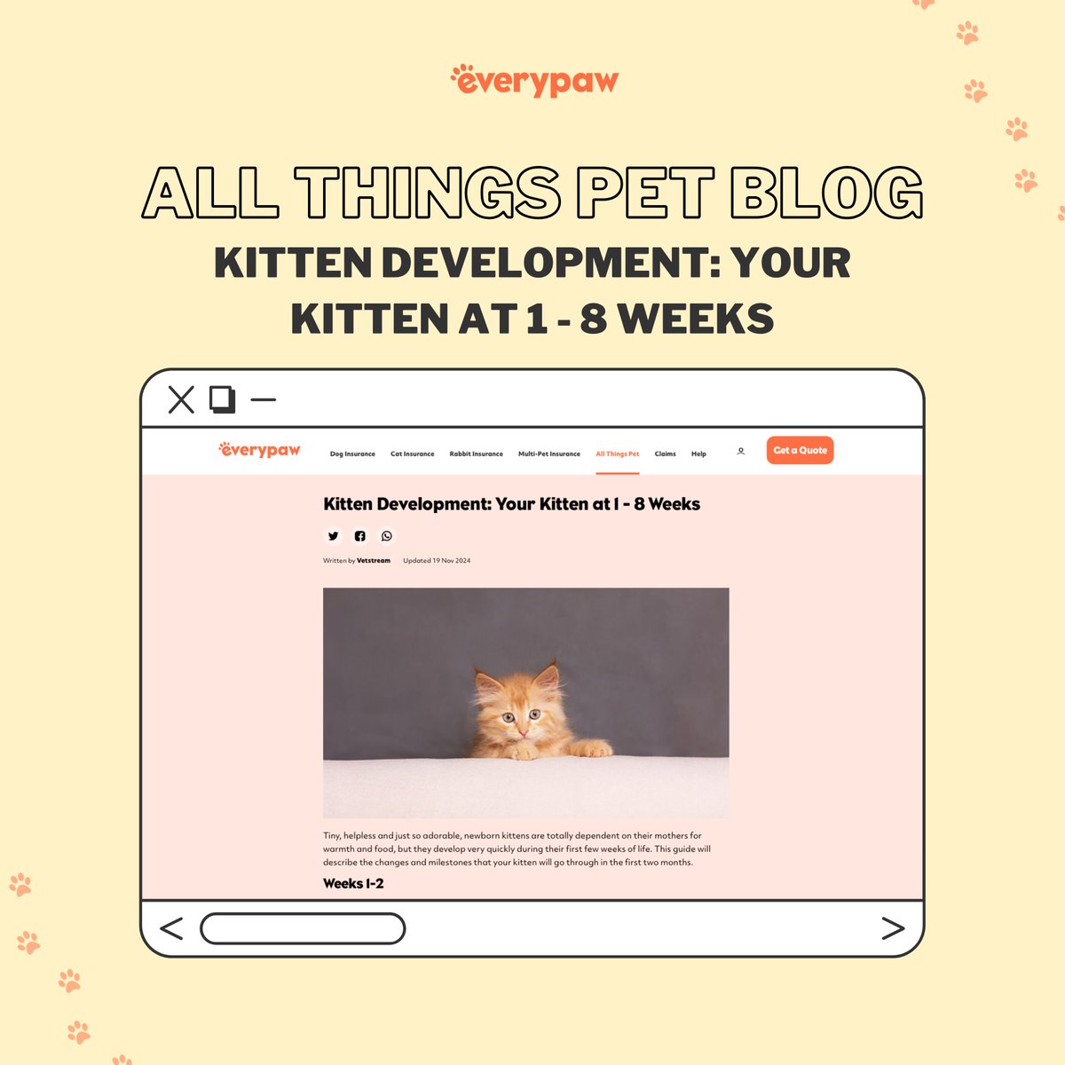 everypawuk's tweet image. In our latest blog, we break down the key stages of kitten growth, offering tips on how to care for them during these crucial early weeks.🐱✨

everypaw.com/all-things-pet…

#KittenDevelopment #RaisingKittens #KittenCare #NewKitten  #PetInsurance #EverypawUK #EverypawPetInsurance