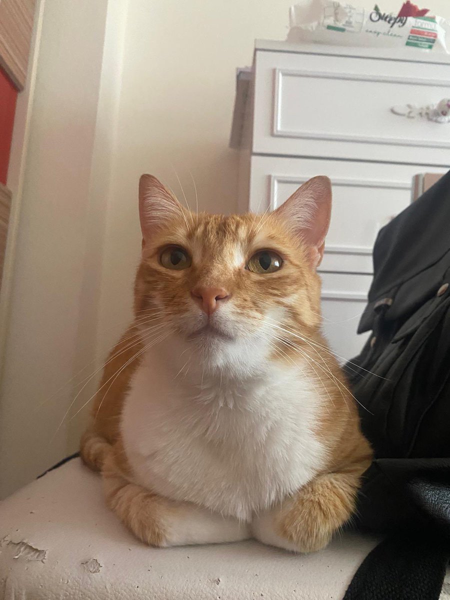 -ne yaptın bugün ?
+kime