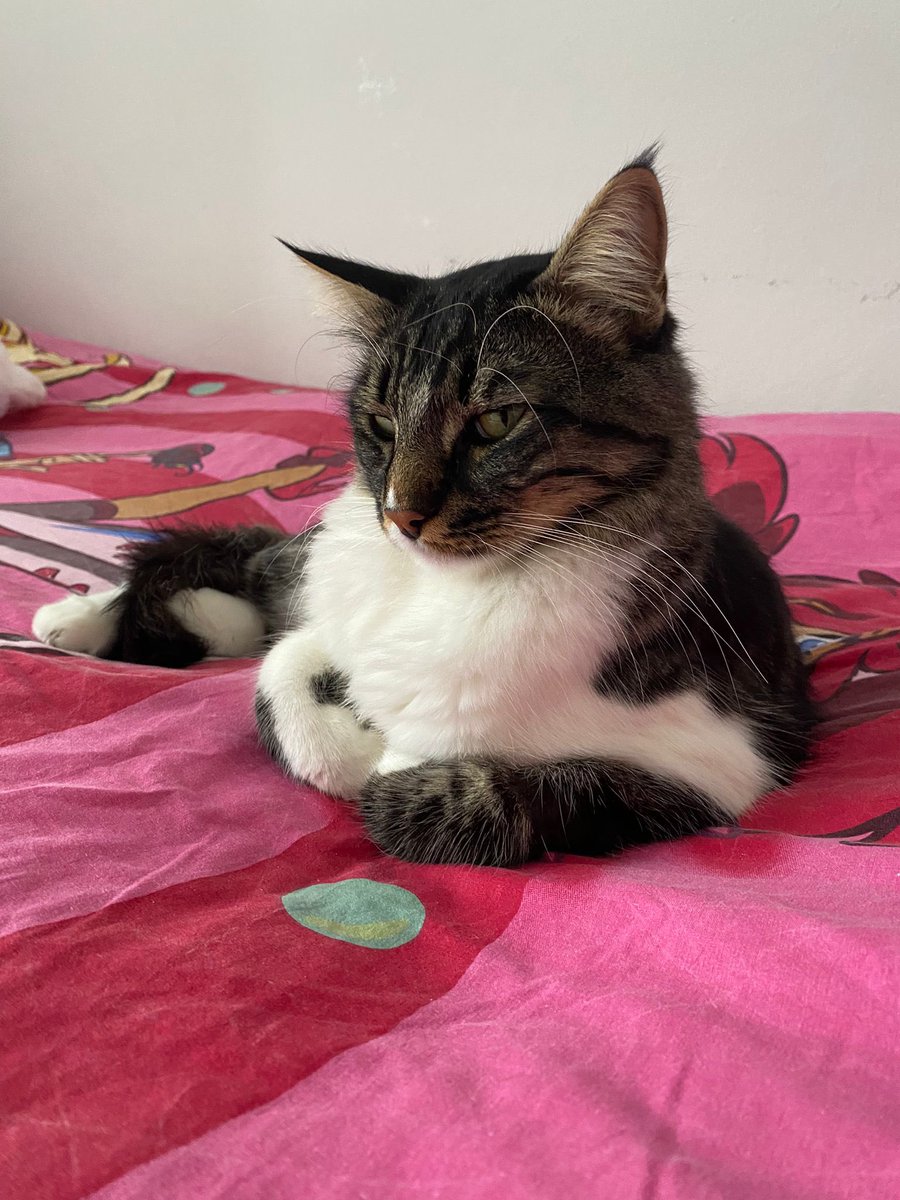 -Ne yaptın bugün?
+kime