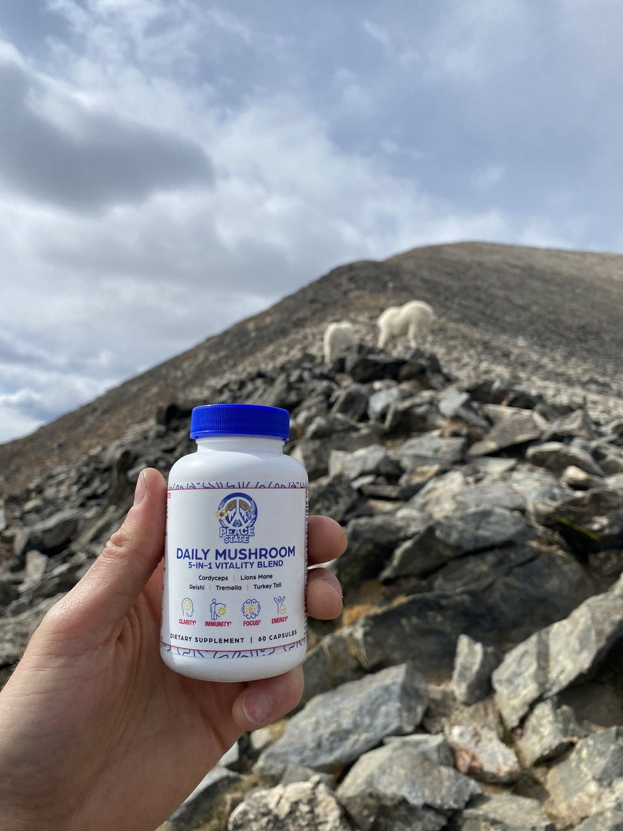 I know you’re inundated with sales right now, but if you’ve been been waiting to try the amazing functional mushroom blend we created this year at <a href="/thepeacestate/">Peace State | The Best Functional Mushrooms</a> we are doing 15% off with code ANNIVERSARY 🌞

Order online: thepeacestate.com