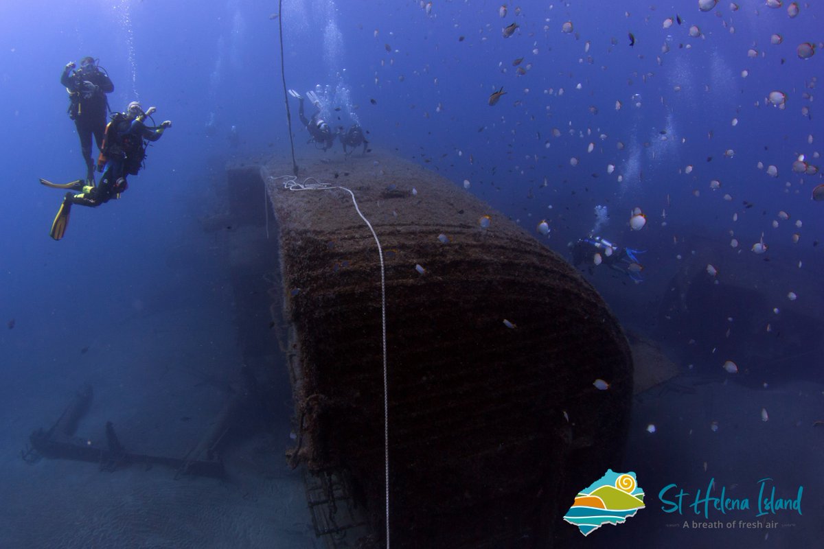 Dive Worldwide tweet media