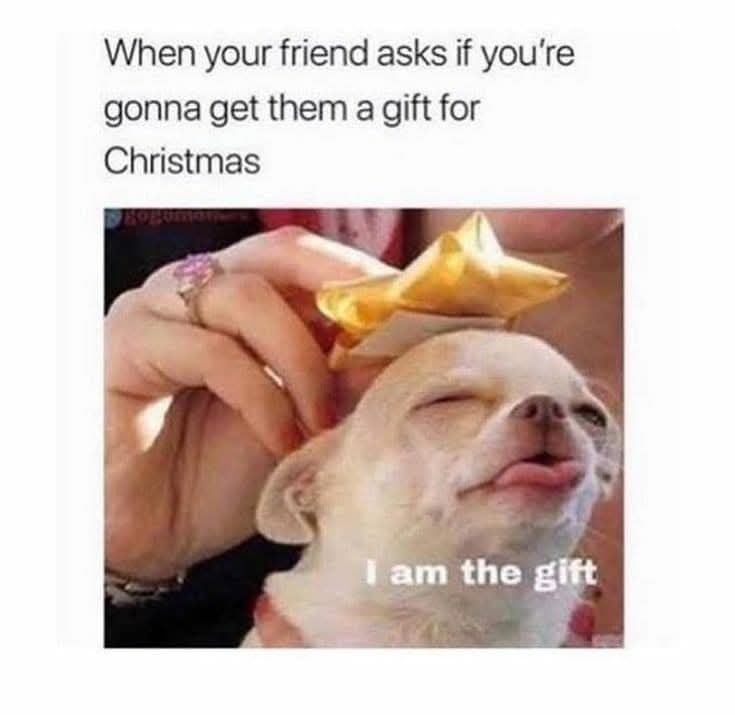 sunny_joni's tweet photo. I make the same face as well. #bestpresent #MerryChristmas https://t.co/RgYIwCOomD