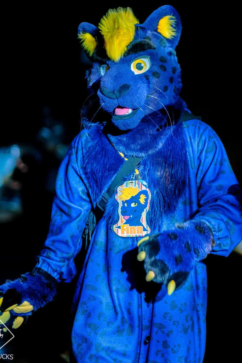 Finn the Panther tweet media