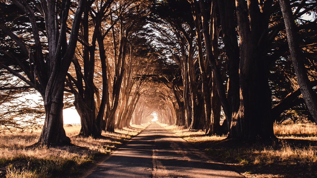 nikkoparan's tweet photo. 🌄 “Travel brings power and love back into your life.” – Rumi #TravelPower #LoveLife https://t.co/4iXhjcug6T
