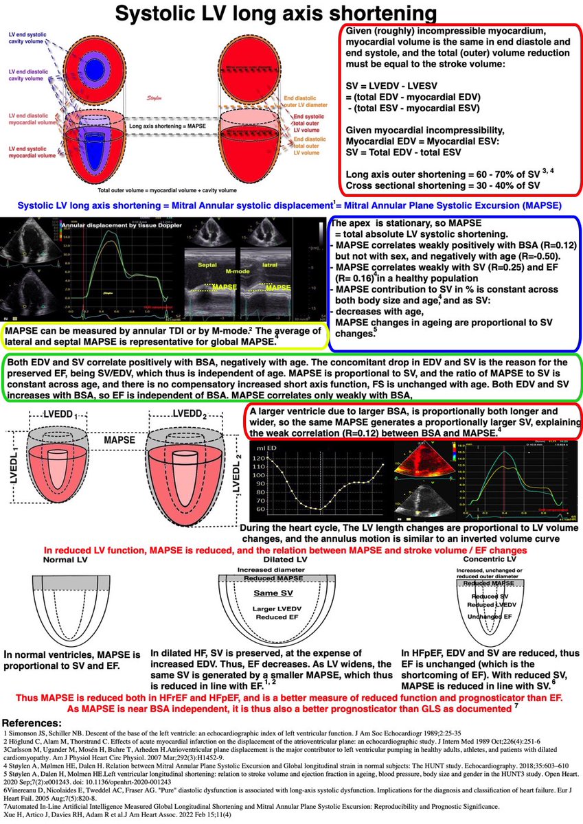 #Cardiotwitter #EchoFirst. Relation of MAPSE to SV, EF in ageing, BSA, and HF. MAPSE is a better prognosticator than EF and GLS