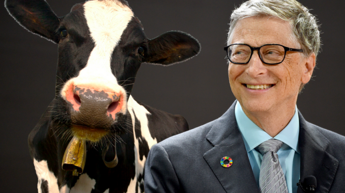 Bill Gates’ New Feed Additive ‘Boaver’ Linked to Male Infertility and Reproductive Damage

Bill Gates has rolled out yet another product that damages male fertility and reproductive organs as his quest to quietly reduce the global population continues.

#BillGates #Trump