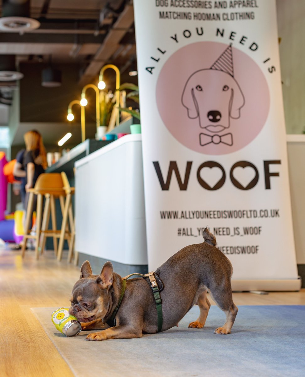 All year round, your four-legged family members are part of our community! #AffinityLiving

🔗 affinityliving.com