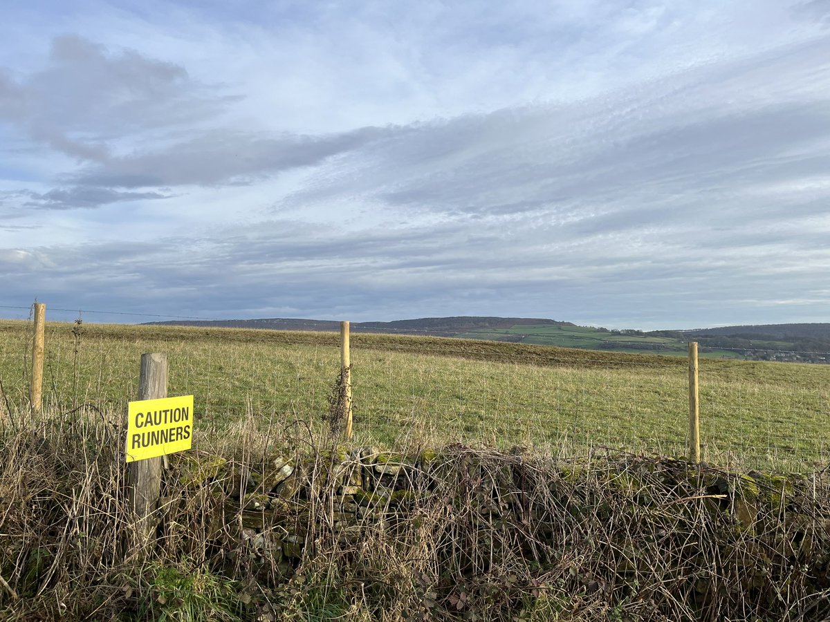 baslowbolt tweet media