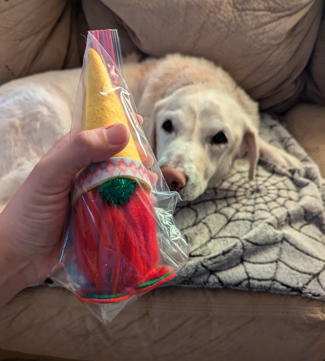 Pals we could really use help paying some important things 😔🐽💕 mom been working hard through her blues to make new giant Gnomesters! 🤩🍄❤️ They're $20 each (plus 💌) They're about 7" tall, really neat n made with love! ❤️ We have 4 ready ☺️🐽🤞not in our store yet.. dm us 💌