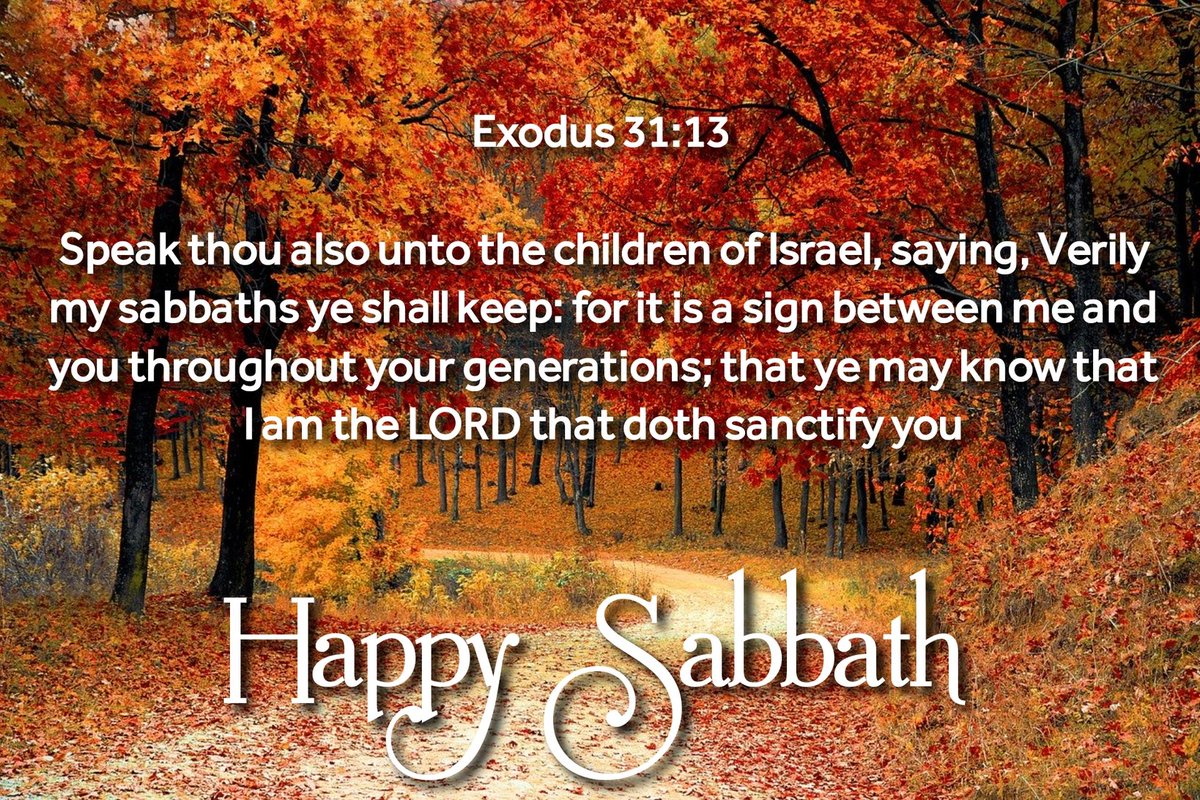 gnkenyatta's tweet photo. John 10:27-28
My sheep hear My voice, and I know them, and they follow Me. And I give them eternal life, and they shall never perish; neither shall anyone snatch them out of My hand. #HappySabbath #Sabbath #7thDaySabbath https://t.co/uRIx0KZgMC