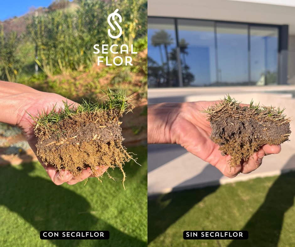 Secalflor tweet media