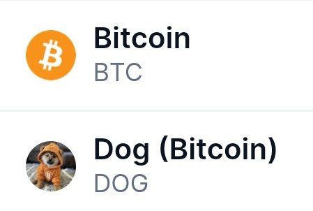 DOG.GO.TO.THE.MOON 🐕📝 tweet media