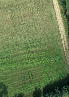 Institut für Agrar- und Stadtökologische Projekte tweet media