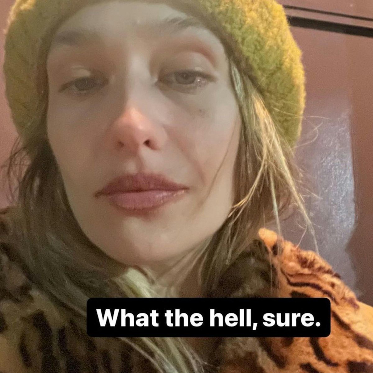 shoto letting the people give him hero labels