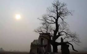 David Tsai/蔡慎坤 tweet media