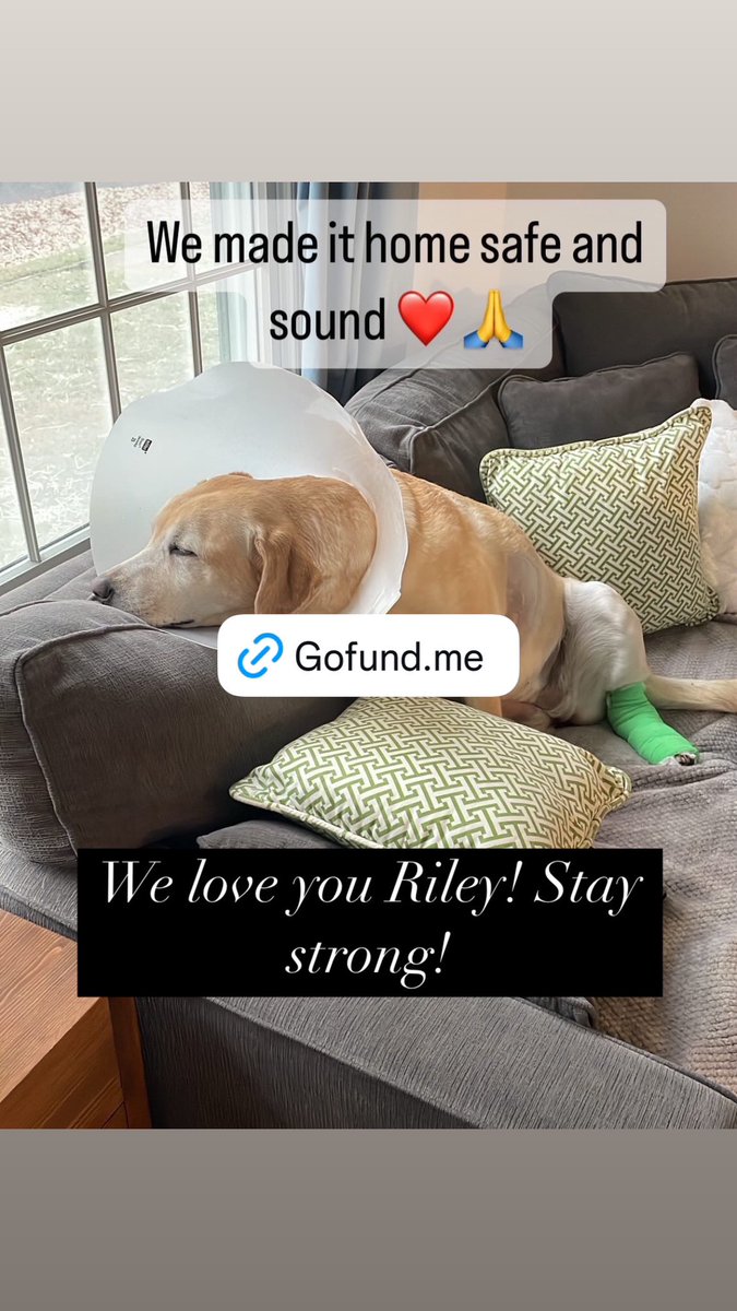 Check out this post on Nextdoor: nextdoor.com/p/jt2Xc9hJfGNJ…