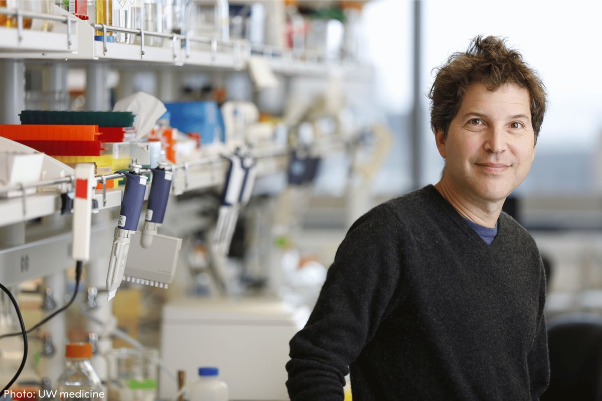 Proteins generally consist of 20 different amino acids, which can be described as life’s building blocks. In 2003, David Baker succeeded in using these blocks to design a new protein that was unlike any other.

In 2020, Demis Hassabis and John Jumper presented an AI model called