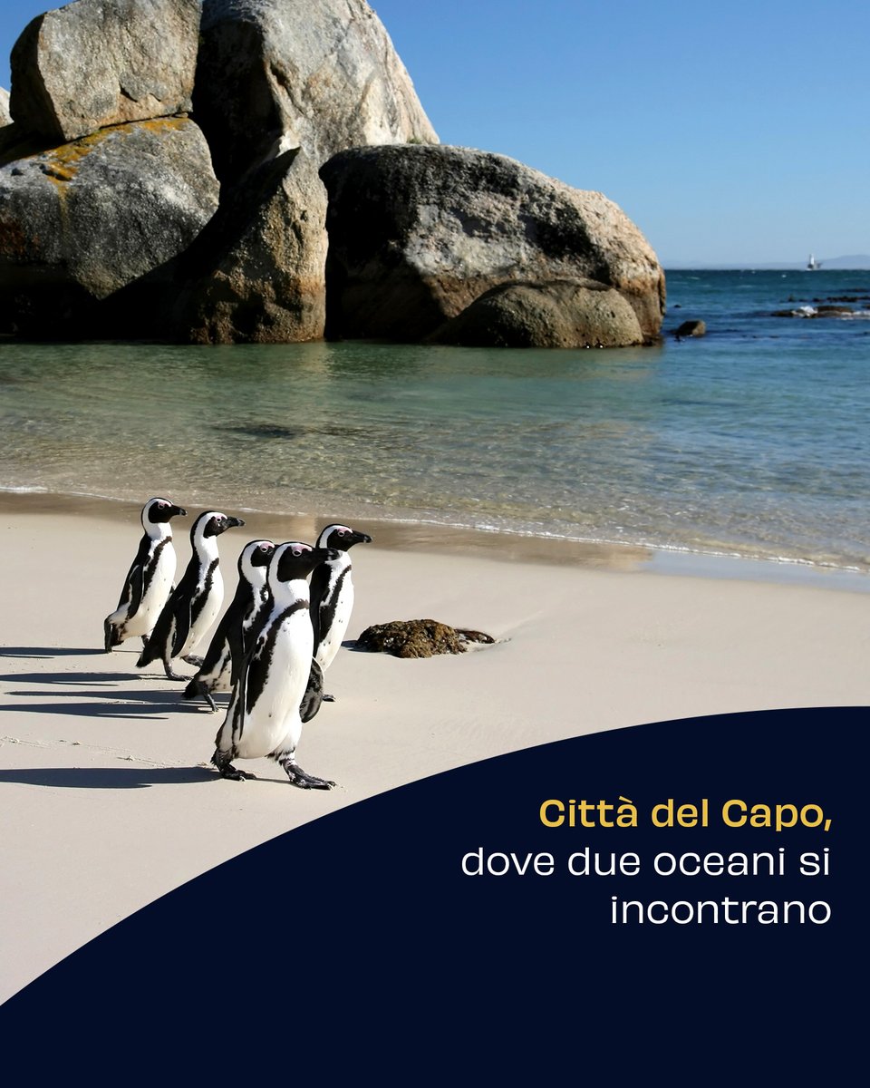 🌊 Città del Capo, dove l’Oceano Atlantico incontra l’Indiano, è un luogo di biodiversità unica. Fynbos, pinguini, foche e balene convivono in un ecosistema straordinario. Un simbolo di coraggio, cambiamento e esplorazione. #ATB #CittàDelCapo #OceanoIndiano #OceanoAtlantico