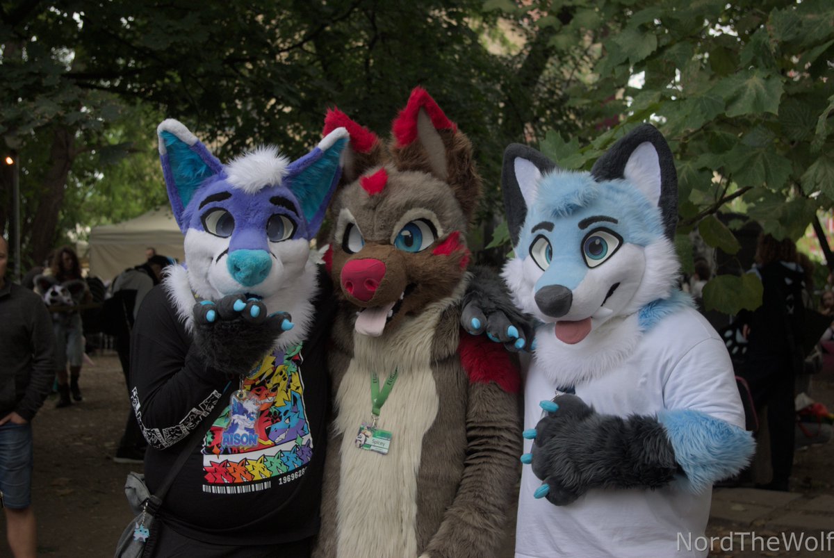 Happy #FursuitFriday with a throwback to the wroclaw suitwalk!

🦊:<a href="/aisonfusky/">Aison</a> 
🐕‍🦺:<a href="/ShepherdSpicey/">Spicey Shepherd</a> 
📸:<a href="/NordTheWolf/">Nord🇵🇸</a>
