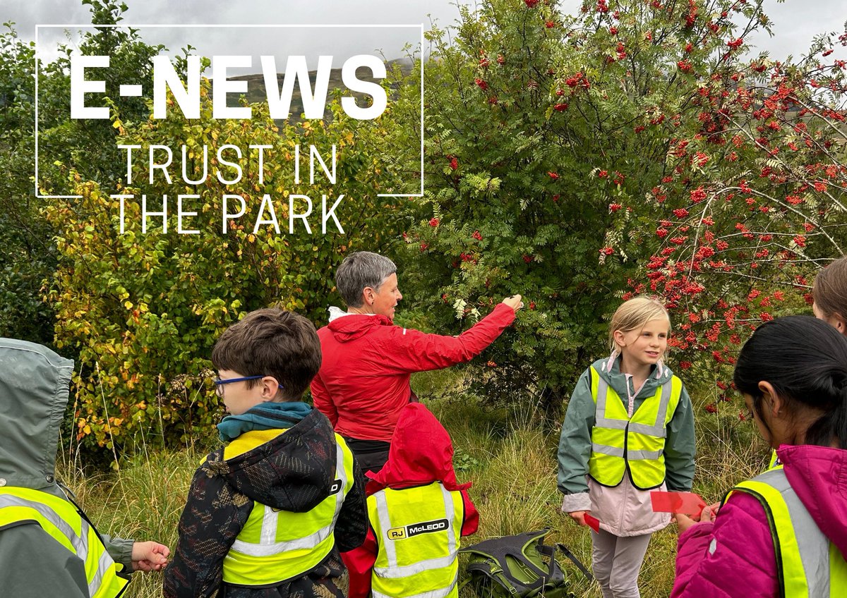 Trustinthepark's tweet photo. Read our November news + how we connect with trees as part of #NationalTreeWeek:

🌳#WildStrathfillan film night invitation
🌳Trees in education. 
🌳Planting trees for absent friends.
🌳STEM in conservation.

⏬https://t.co/8PjtpgqAIG https://t.co/14w0Gymdd0