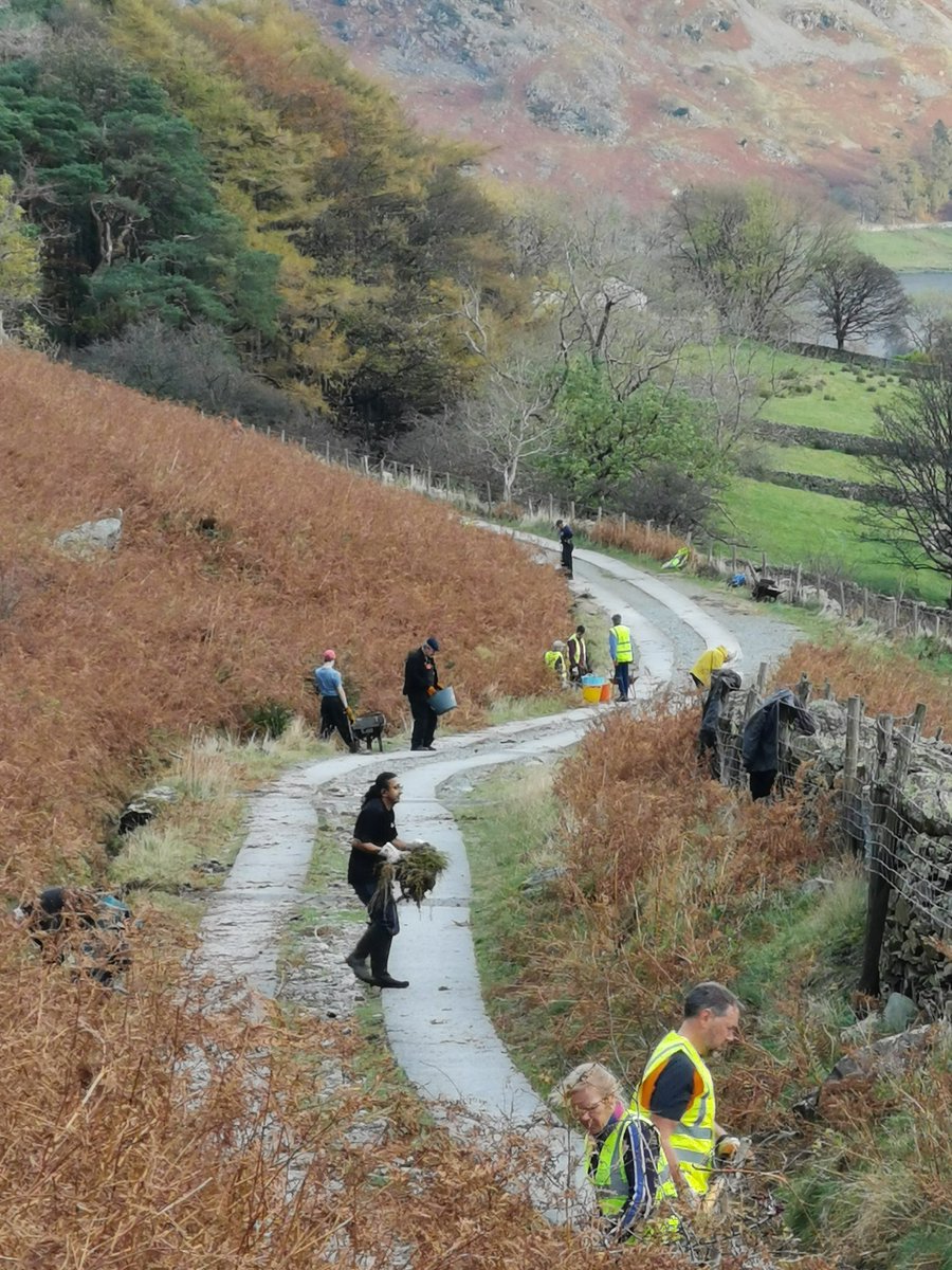 The Mon December 9 work meet to fix the track will go ahead on December 9. Meet at our car park 8:30-9am as usual. 

We'll be spreading roadstone and ditch clearing. If you have them, bring shovel, trug, wheelbarrow, stout gloves, hard hat and high vis jacket.