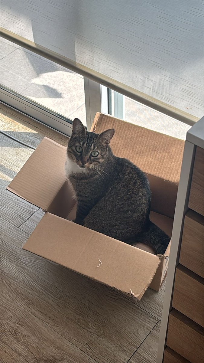 SB4 día 2 5-0 kick.com/pancaake