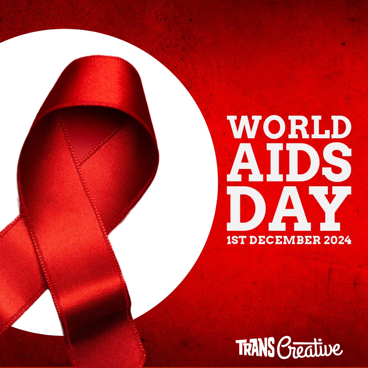 TRANS CREATIVE UK tweet media