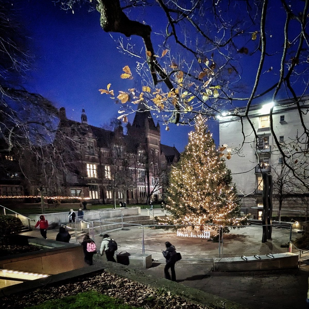 Uni Leeds Students (@uolstudents) on Twitter photo We know it's still November, but the tree is up in Beech Grove Plaza on campus, and it's beginning to look a little bit magical. We know it's still November, but the tree is up in Beech Grove Plaza on campus, and it's beginning to look a little bit magical.