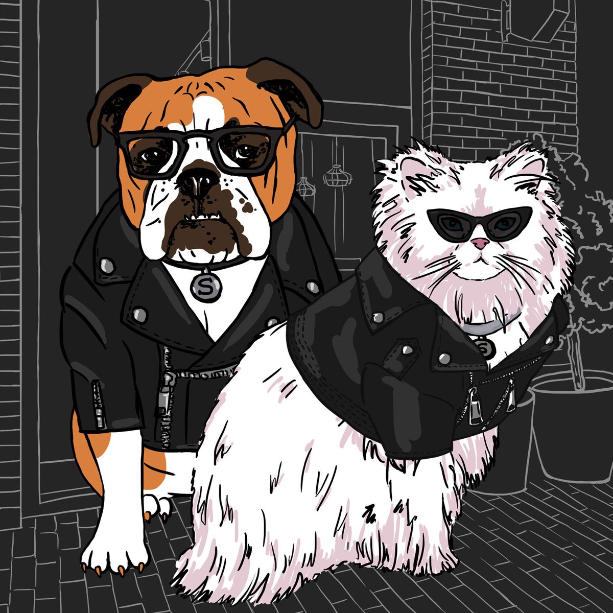 🐺WOLFY’S tweet media