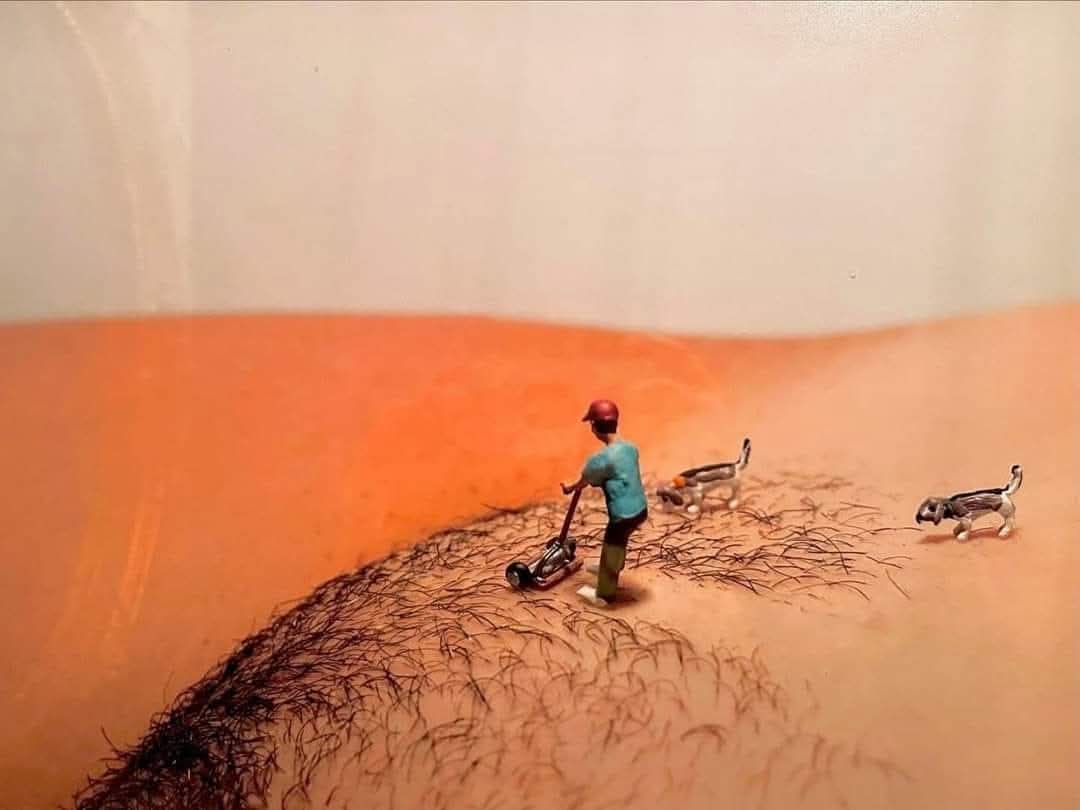 รับจ้างตัดหญ้า 🌲🤤

#Skinship #เงี่ยนควย #นัดเย็ด #FWBฉะเชิงเทรา #FWBแปดริ้ว #FWB #ONS #เลียหีน้ำแตก #ฟิวแฟน #chubby #BBW #เยดดุ #เรียลชาย #18+ #20+ #แปดริ้ว #ฉะเชิงเทรา #สาวอวบอ้วน #นัดเย็ดสาวอ้วน #นัดเย็ดสาวอวบ #สาวอ้วนขี้เงี่ยน #ชลบุรี #กทม #ปราจีนบุรี