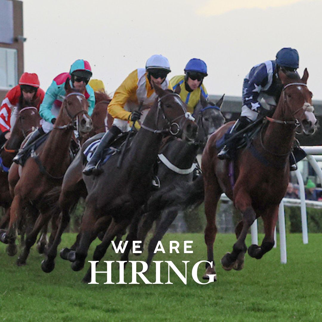 SedgefieldRacecourse (@sedgefieldrace) on Twitter photo WE ARE HIRING! ✨
The team at Sedgefield is recruiting Casual Ground Staff.
Interested?
Please email info@sedgefield-racecourse.co.uk with a CV for further information. WE ARE HIRING! ✨
The team at Sedgefield is recruiting Casual Ground Staff.
Interested?
Please email info@sedgefield-racecourse.co.uk with a CV for further information.