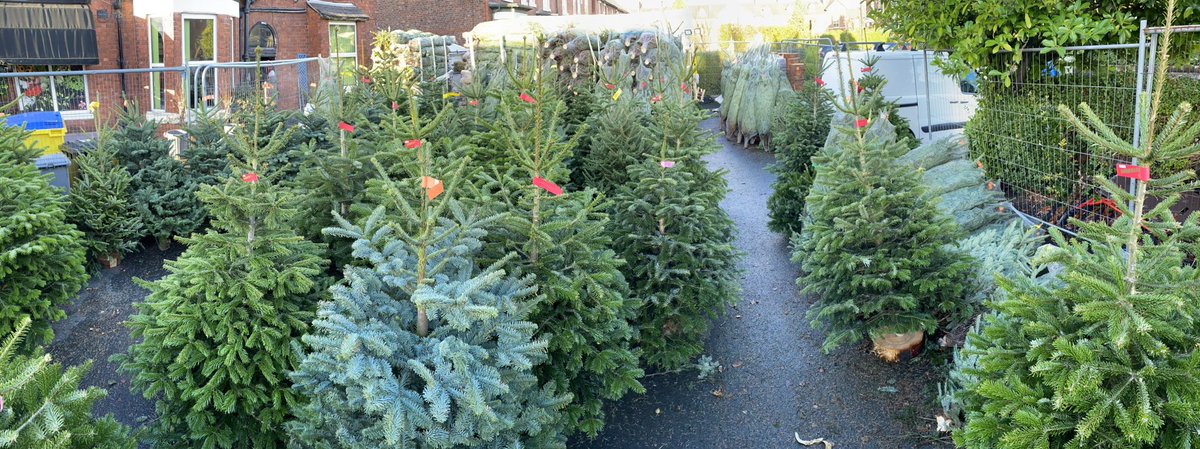 Ken Fraser Florist tweet media