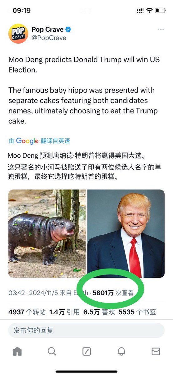 Rs049197822250's tweet photo. The news that Moo Deng predicted Trump would win the election had nearly 60 million views. It should be the hottest news on the whole Internet. https://t.co/L5jLEO1Vvp