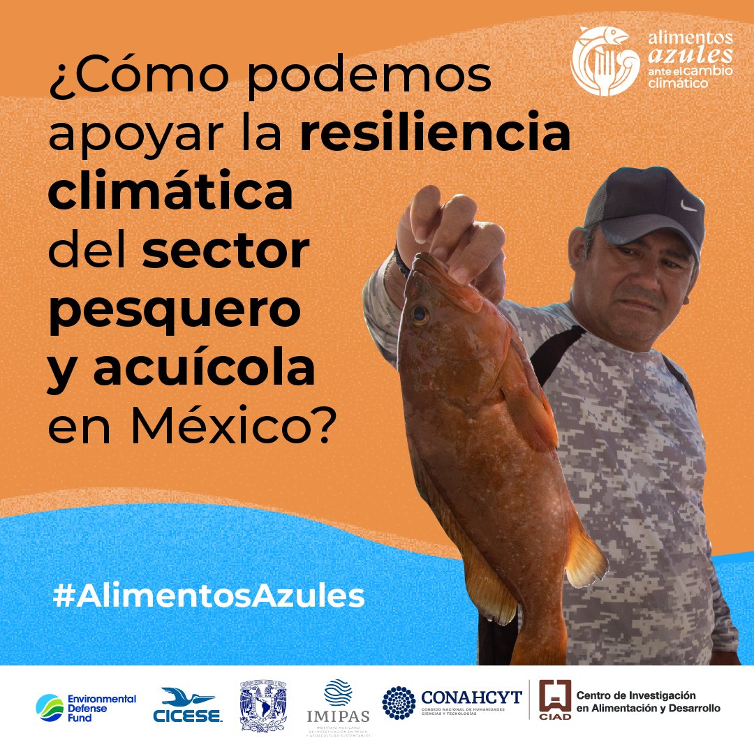 EDF_Espanol's tweet photo. 🧐Durante el foro "Alimentos Azules: Soberanía y Seguridad Alimentatia para México" se reunirán expert@s de diversos ámbitos para posicionar a los #AlimentosAzules en la agenda climática y alimentaria de #México, lo cual nos permitirá seguir avanzando hacia un futuro #sostenible. https://t.co/cQJ7X87isn