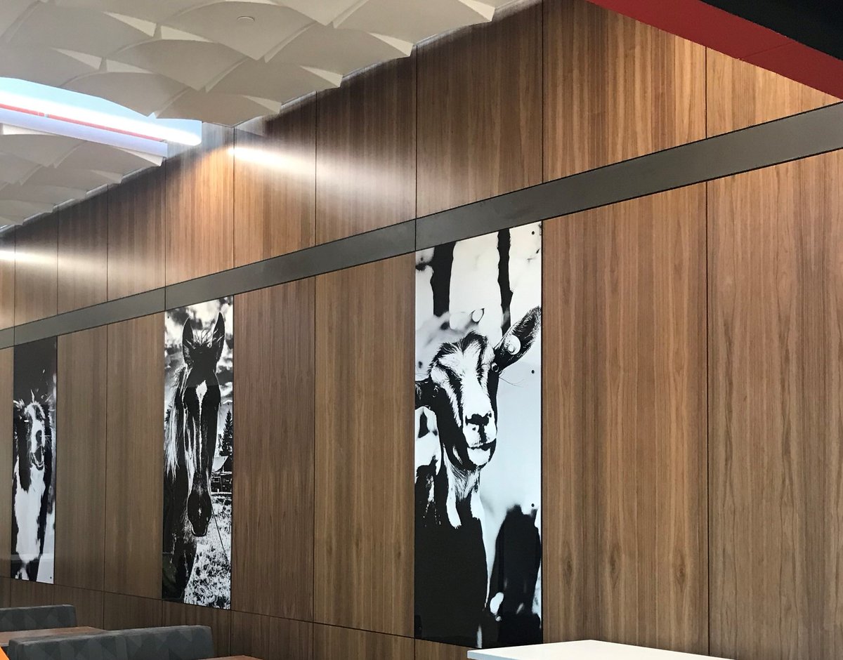 MarliteInc's tweet image. Bringing your space to life one digital print at a time!

#Marlite #artizan #digitallyprinted