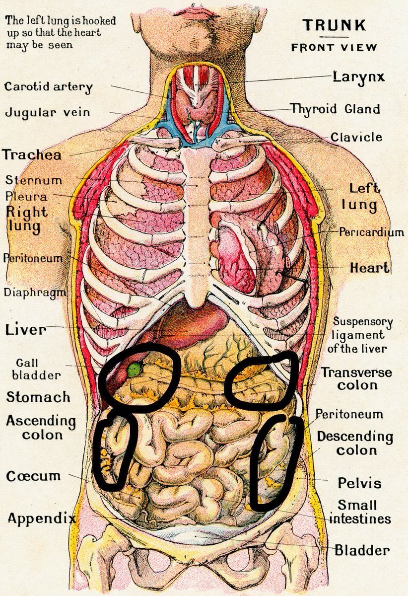 Zagreus | Severe Long Covid & ME/CFS tweet media