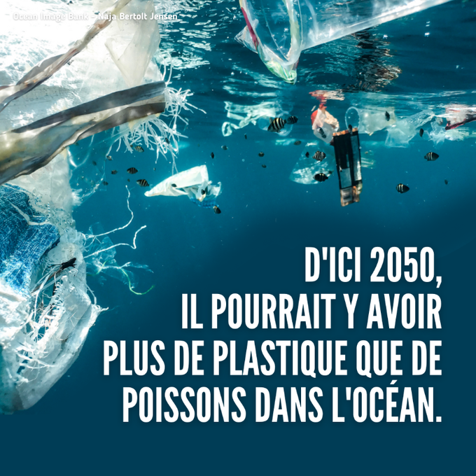 Les dirigeants mondiaux sont réunis en Corée du Sud pour élaborer un traité sur la pollution plastique afin de protéger notre santé, soutenir les économies &amp; préserver la planète.

En savoir plus avec l'@UNEP_francais sur ces négociations cruciales : unep.org/inc-plastic-po…