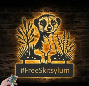 #freeskitsylum