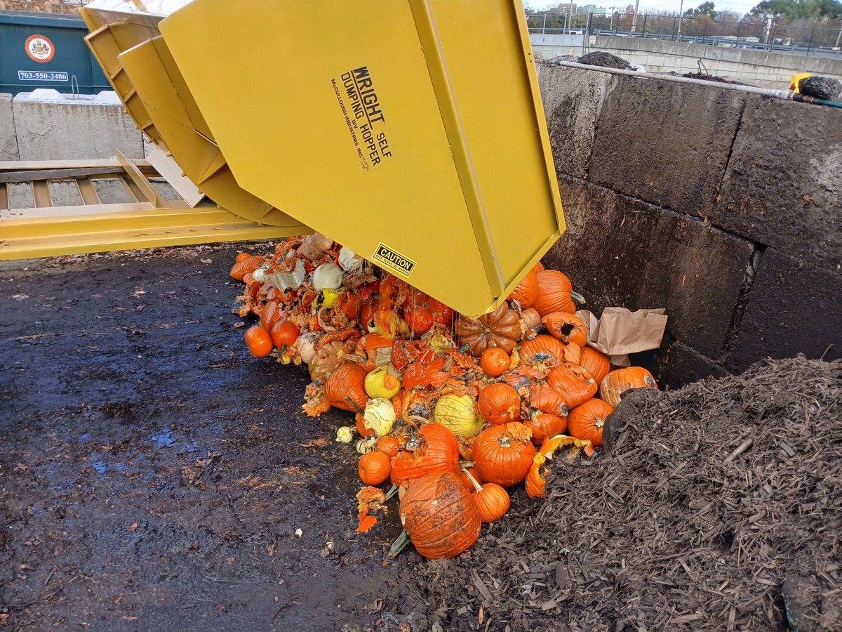 ffxpublicworks's tweet photo. 🎃 Thanks for making our 2024 Pumpkin Palooza a smashing success!
Your donated pumpkins are now bubbling away at the Compost Outpost, mixing with food scraps, leaves, and yard waste to brew the ultimate pumpkin spice compost. 🌱♻️
#CompostMagic #PumpkinPalooza2024 #DPWES https://t.co/HBCIS47M87